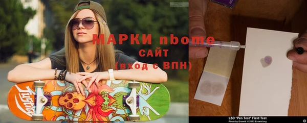 ГАЛЛЮЦИНОГЕННЫЕ ГРИБЫ Новодвинск
