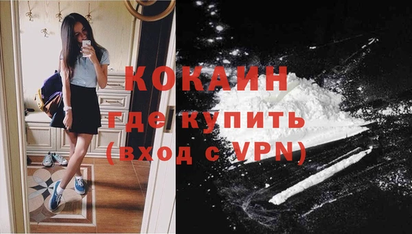 ГАЛЛЮЦИНОГЕННЫЕ ГРИБЫ Новодвинск