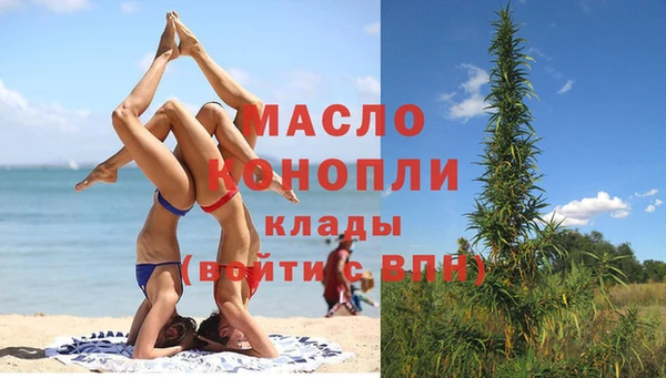 мет Новозыбков