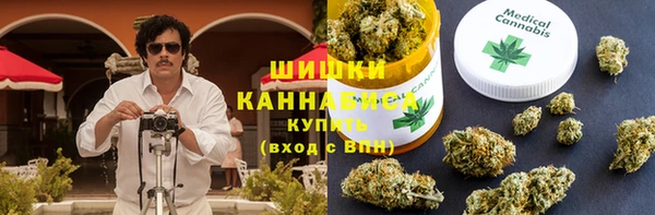 мет Новозыбков