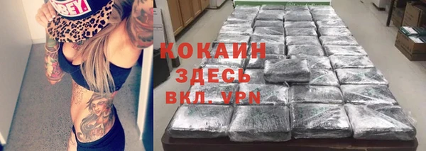 ГАЛЛЮЦИНОГЕННЫЕ ГРИБЫ Новодвинск