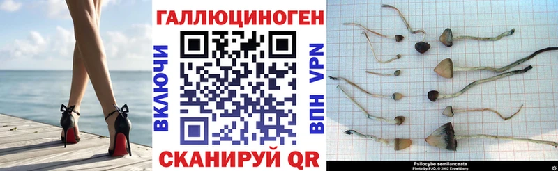 Галлюциногенные грибы Magic Shrooms  hydra ТОР  Электроугли  наркошоп 